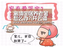 开云体育数据中心