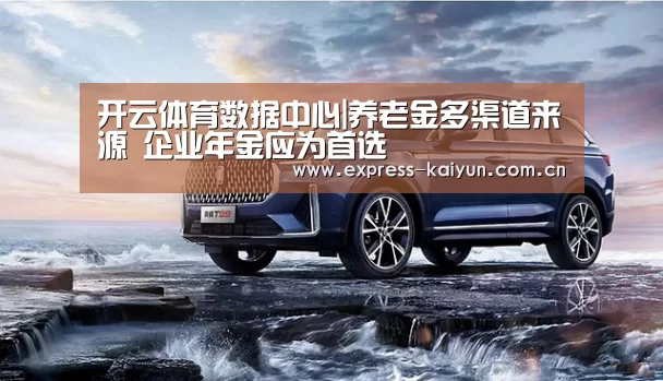 开云体育数据中心|养老金多渠道来源 企业年金应为首选(图2) 开云体育官方