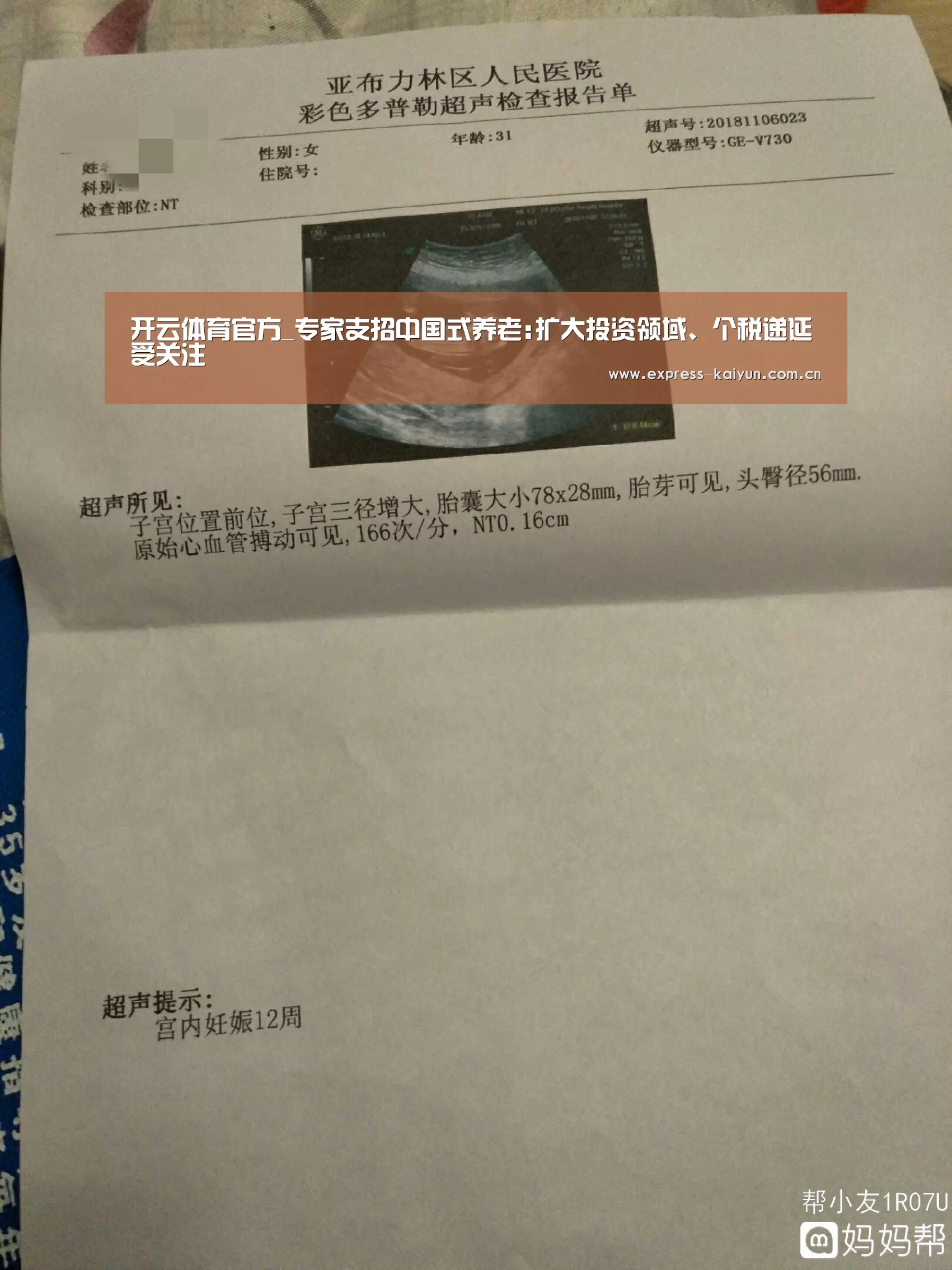 开云体育官网