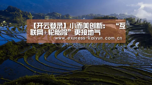 开云体育数据中心