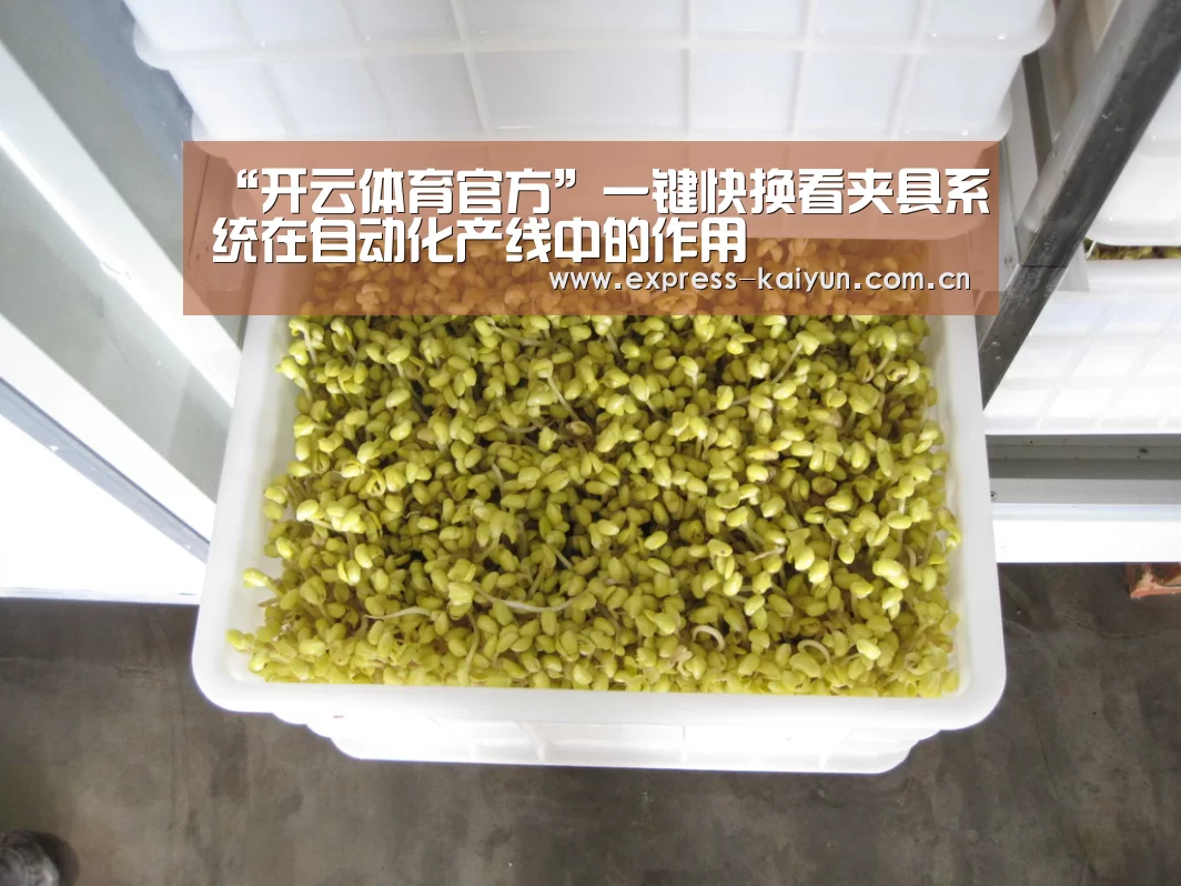 开云体育官方
