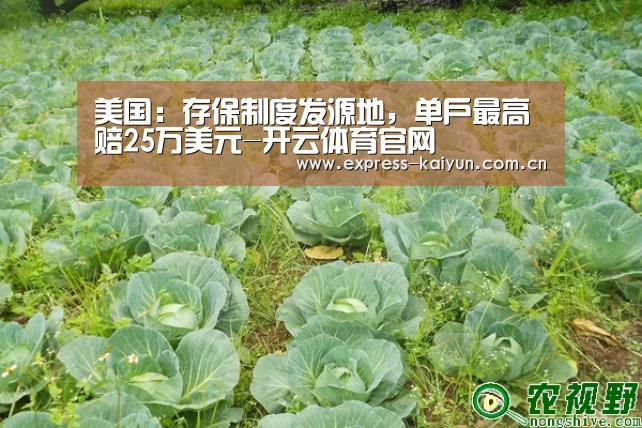 开云体育数据中心