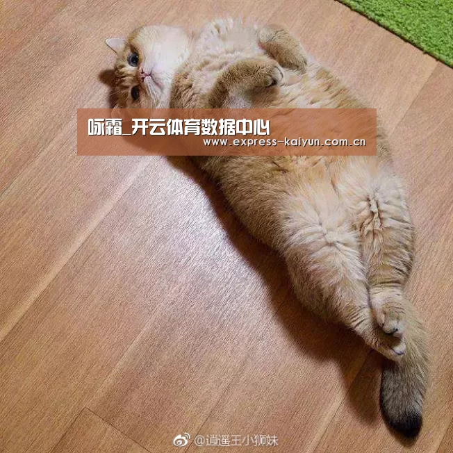 开云体育官方
