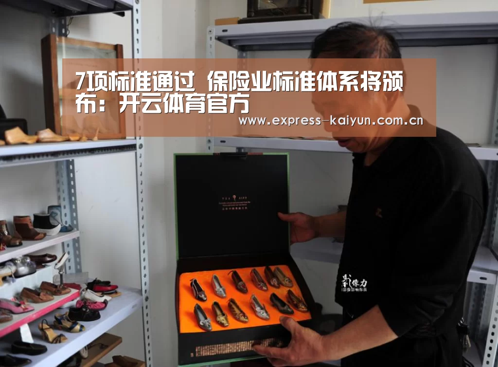 7项标准通过 保险业标准体系将颁布:开云体育官方(图4) 开云体育官方