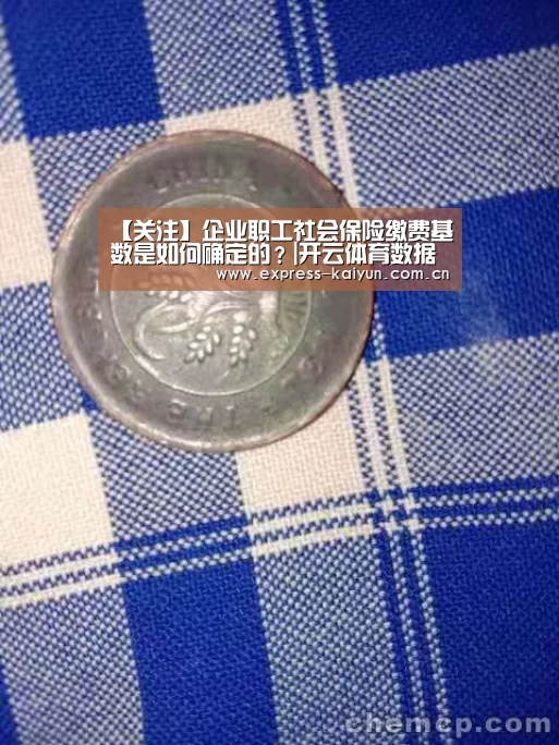 开云体育官方