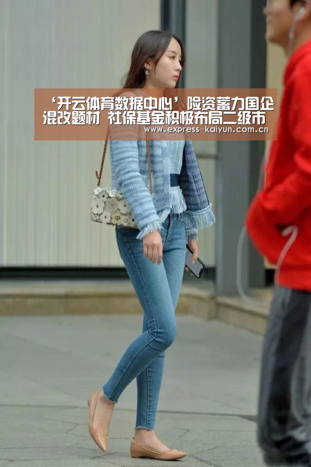 ‘开云体育数据中心’险资蓄力国企混改题材 社保基金积极布局二级市场