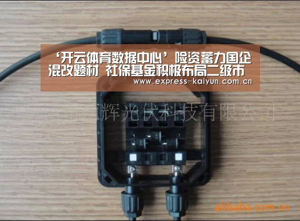 ‘开云体育数据中心’险资蓄力国企混改题材 社保基金积极布局二级市场(图2) 开云体育数据中心