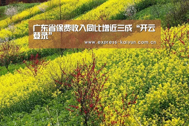 开云体育数据中心