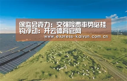 保监会袁力：交强险费率势必挂钩浮动：开云体育官网