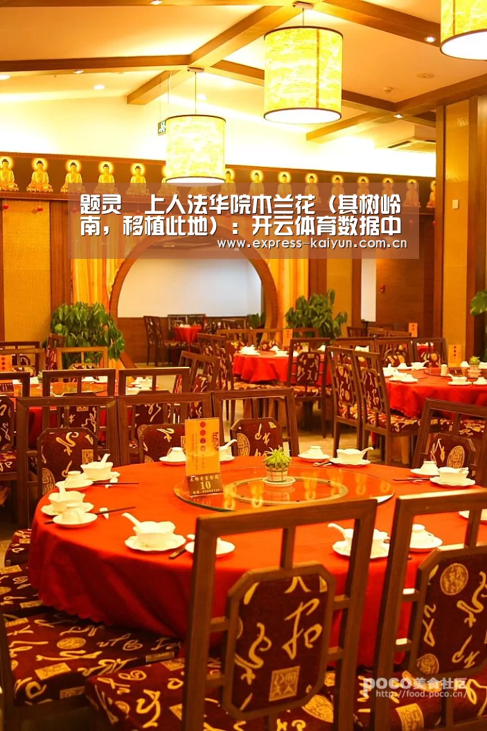开云体育官网