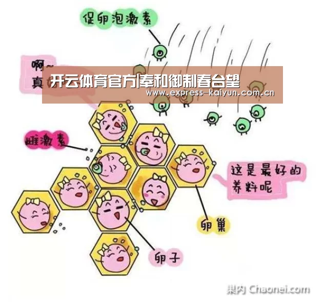 开云体育官网